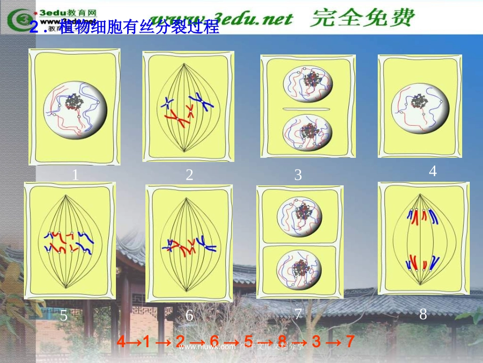 细胞的增殖和分化.pptx_第2页