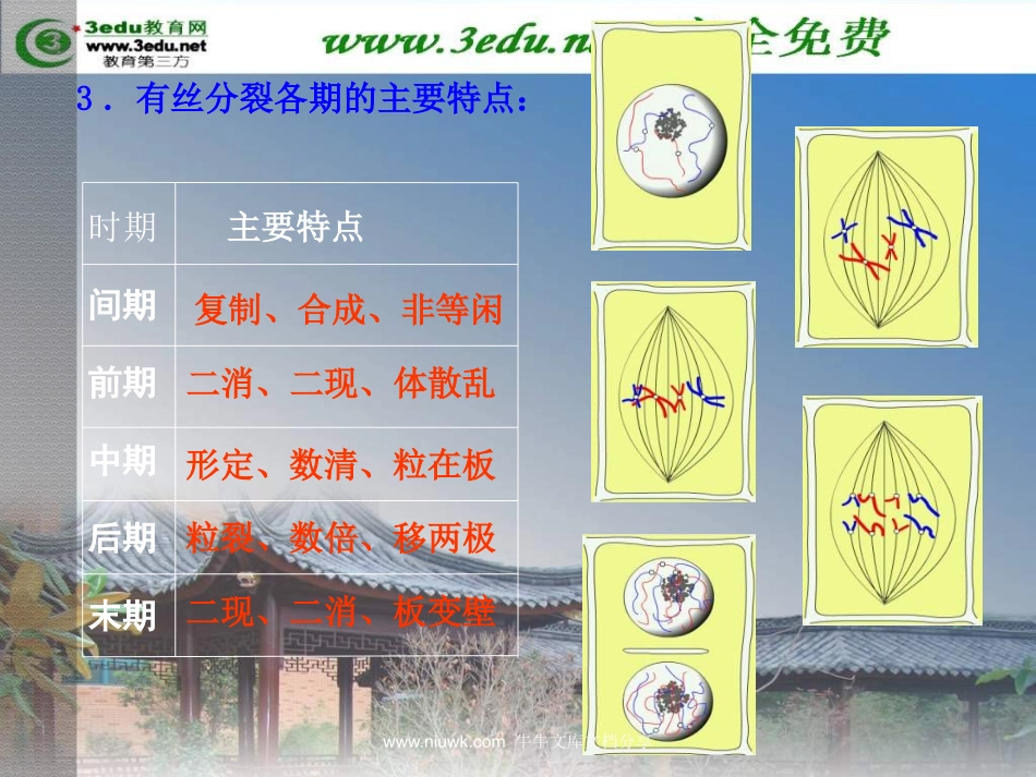 细胞的增殖和分化.pptx_第3页