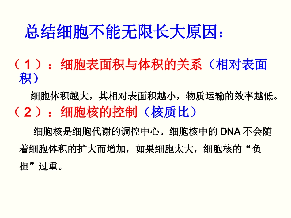 细胞的增殖讲课用.ppt_第3页