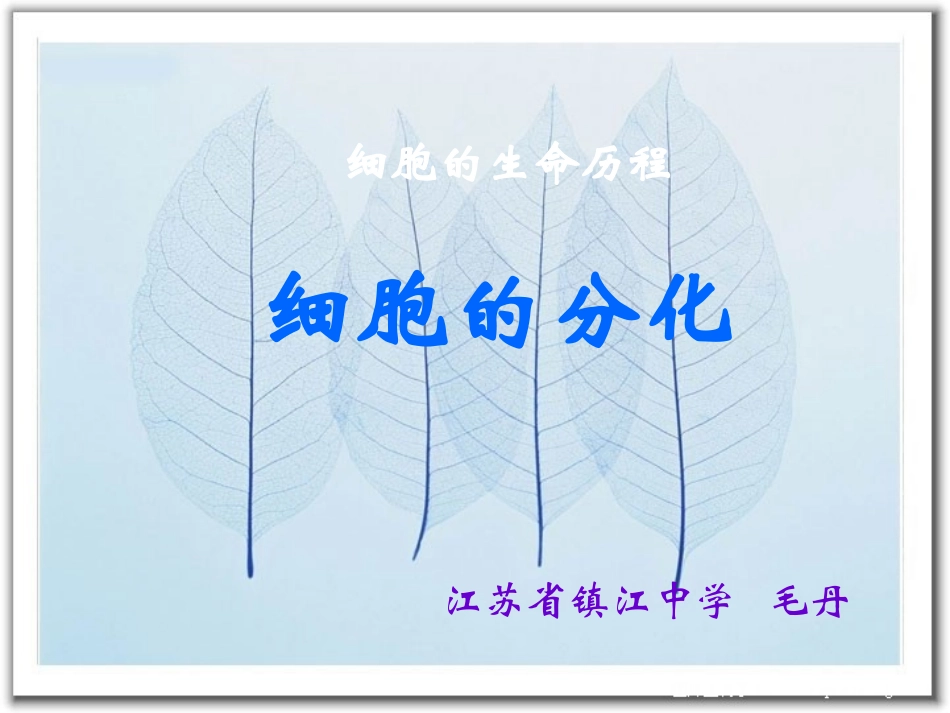 细胞的生命历程——细胞分化.ppt_第1页