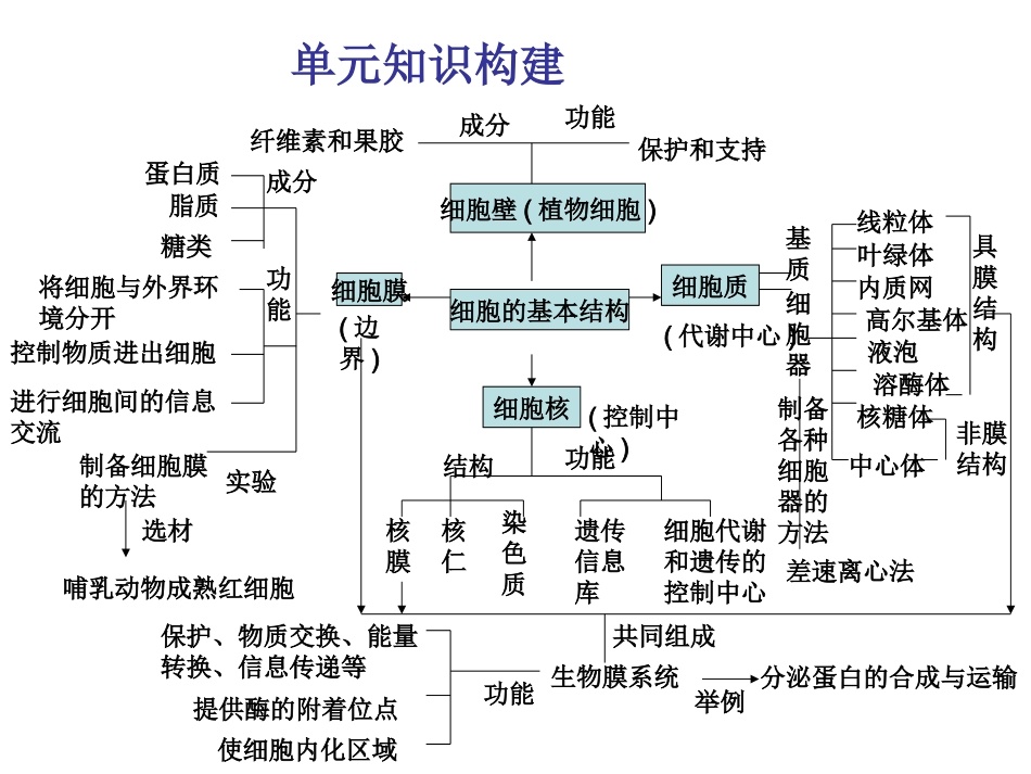 细胞的结构基础.ppt_第1页