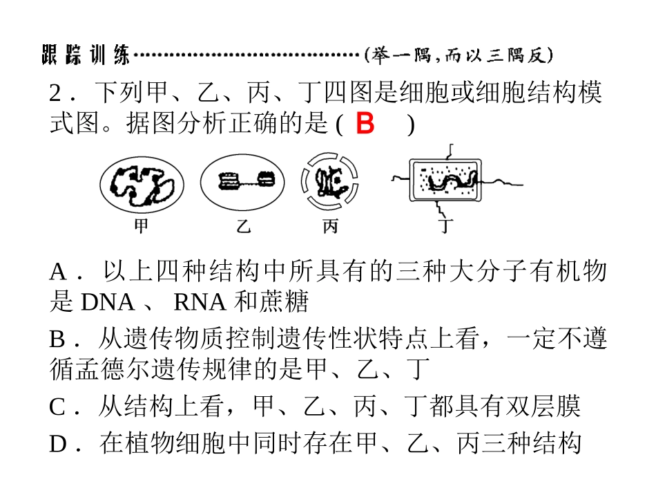 细胞的结构基础.ppt_第3页