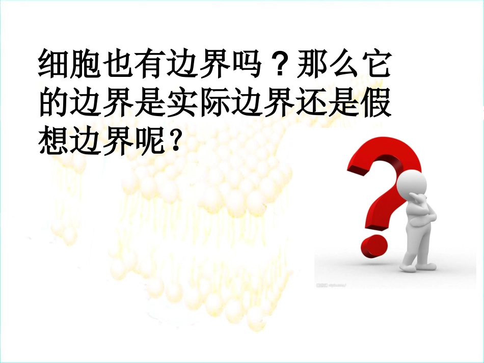 细胞膜——系统的边界-公开课.ppt_第2页