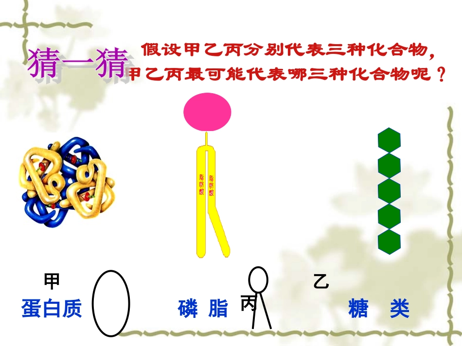 细胞膜及膜系统的结构和功能全解.ppt_第2页