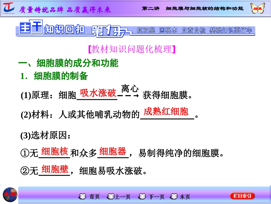 细胞膜与细胞核的结构和功能.ppt_第1页
