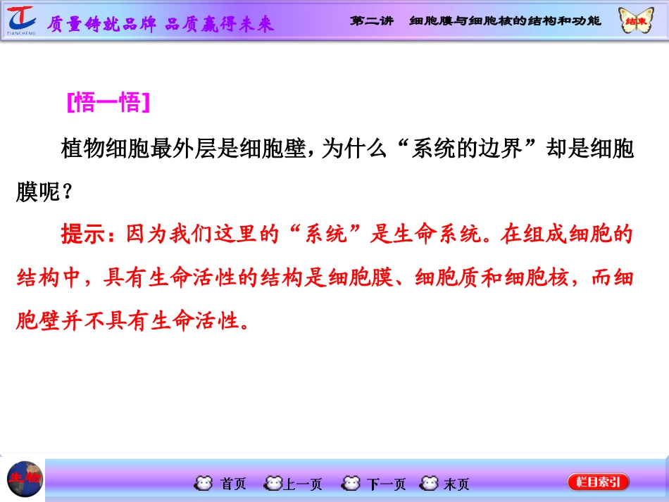 细胞膜与细胞核的结构和功能.ppt_第3页