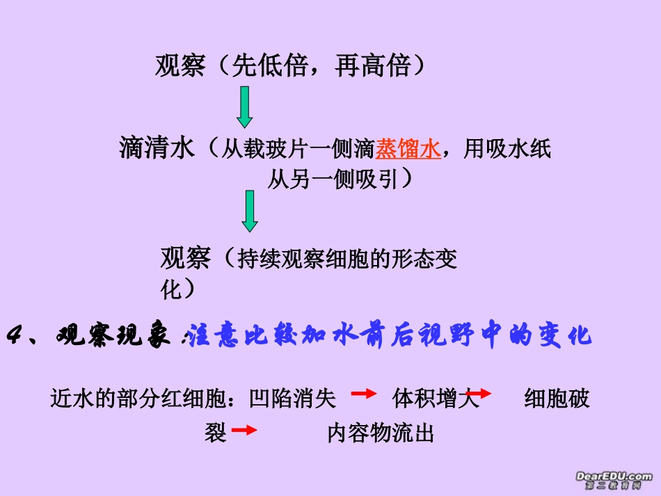 细胞膜的制备.ppt_第2页