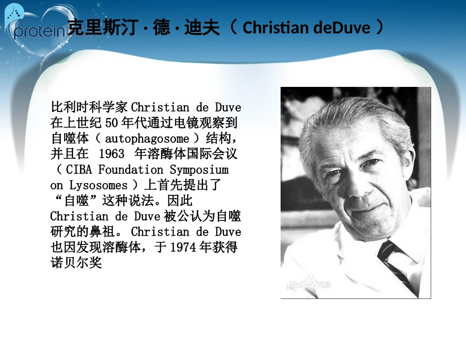 细胞自噬机制.ppt_第2页