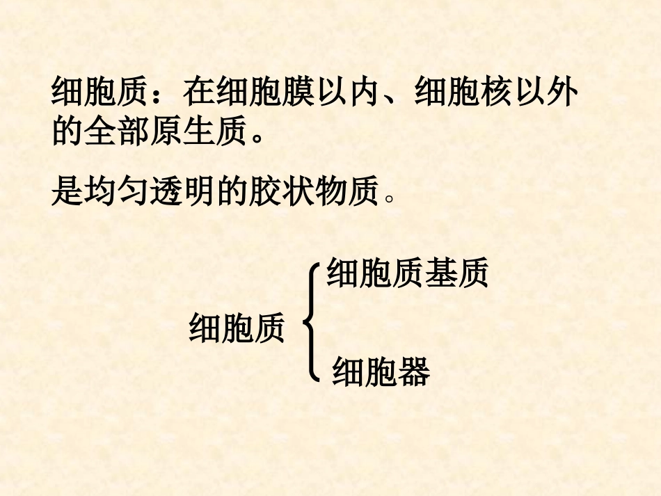 细胞质的结构和功能.ppt_第1页