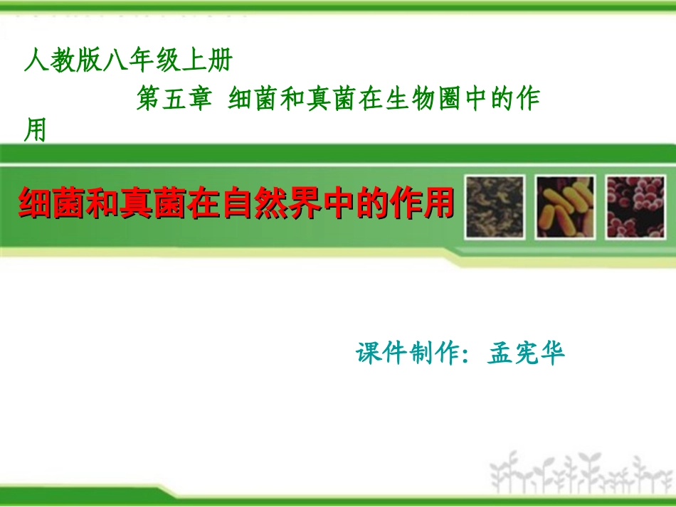 细菌和真菌在自然界中的作用.ppt_第1页
