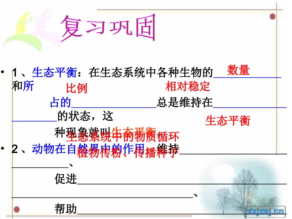 细菌和真菌的分布--13.ppt_第2页