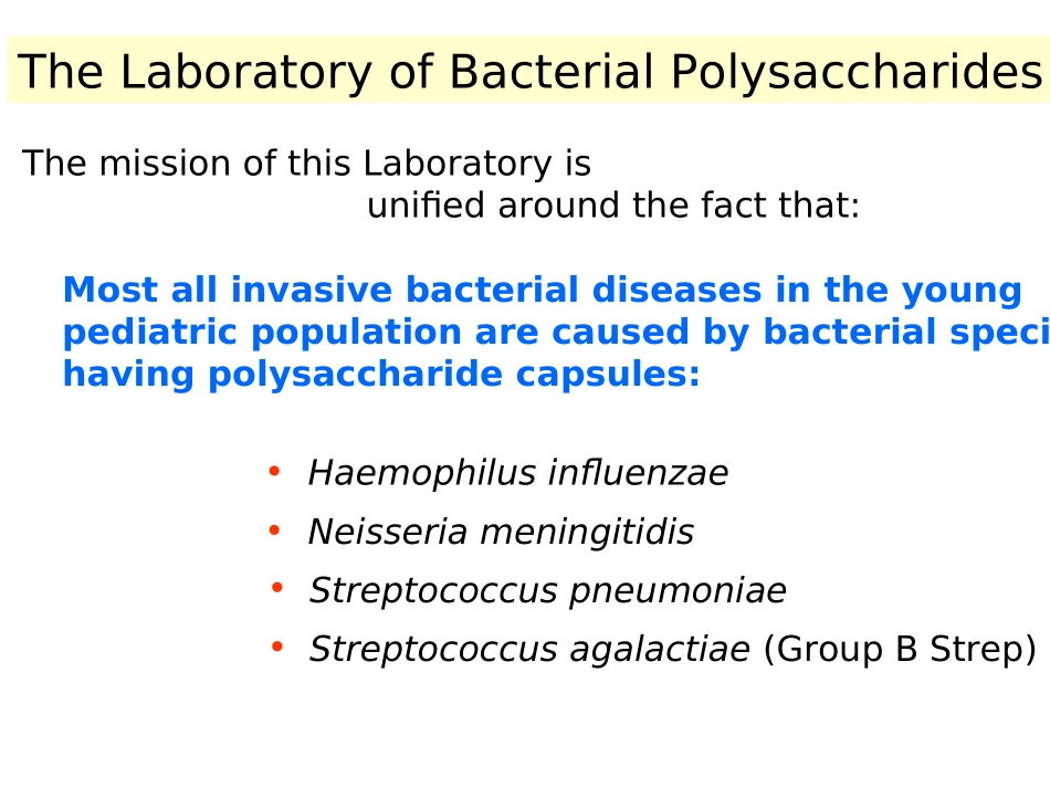 细菌多糖.ppt_第2页