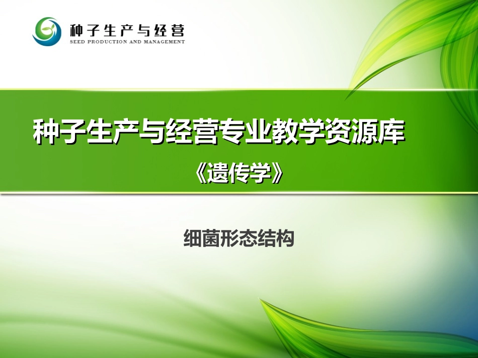 细菌形态结构..ppt_第1页