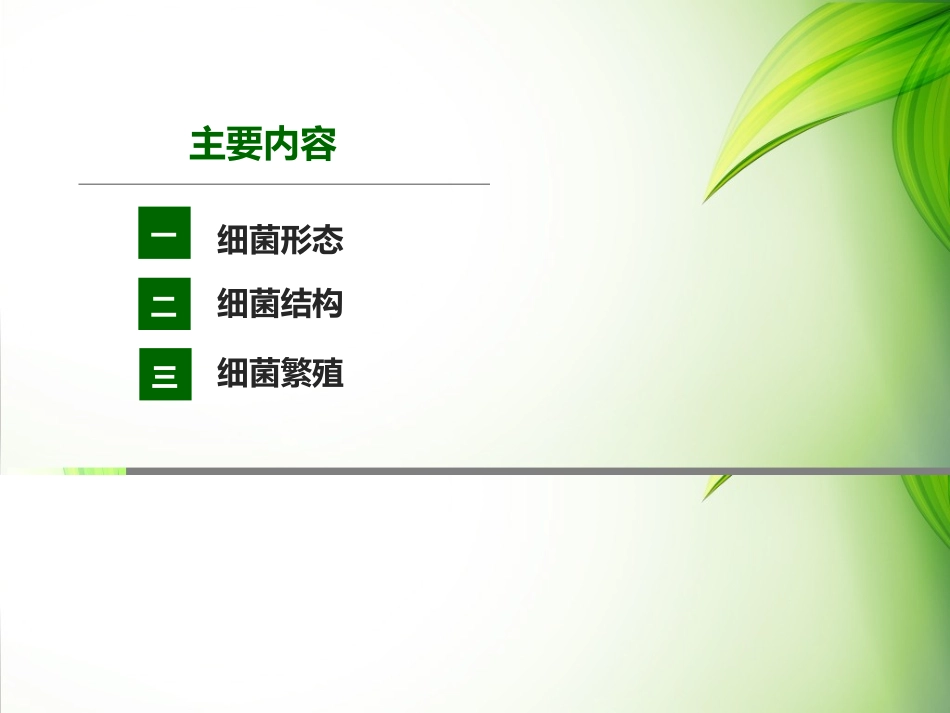 细菌形态结构..ppt_第2页