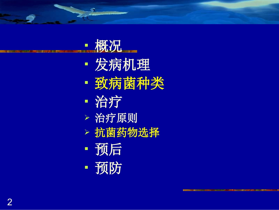 细菌性脑膜炎(hn09).ppt_第2页