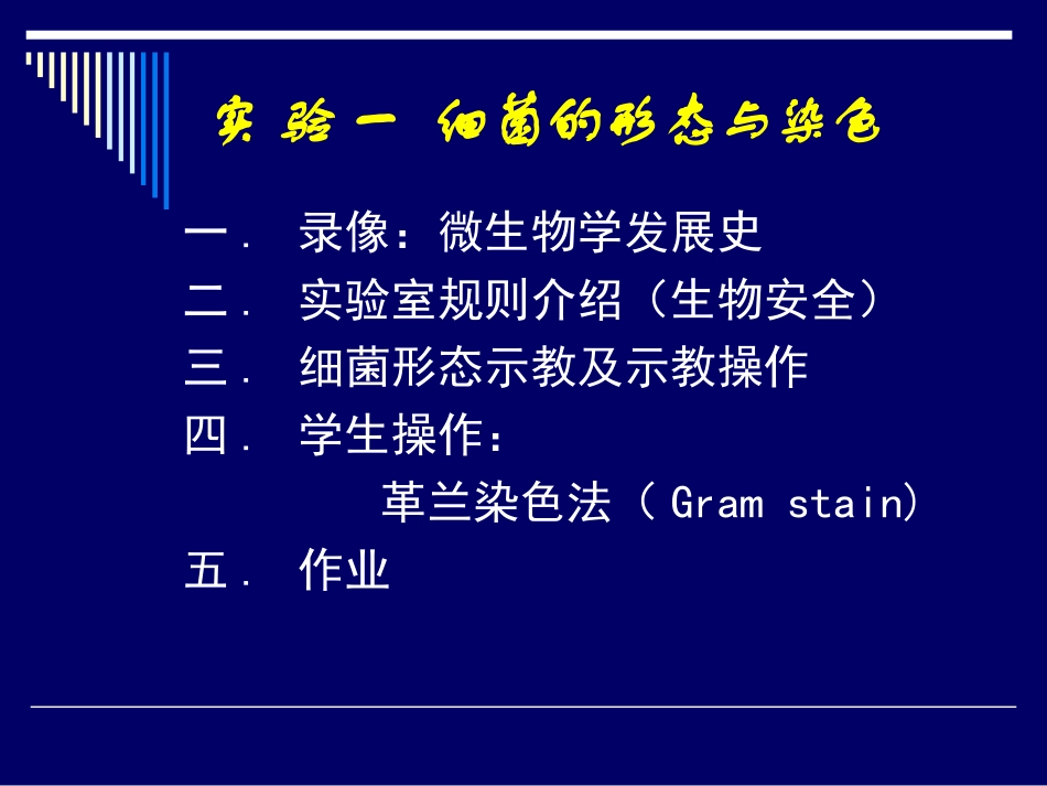 细菌的形态与染色..ppt_第1页