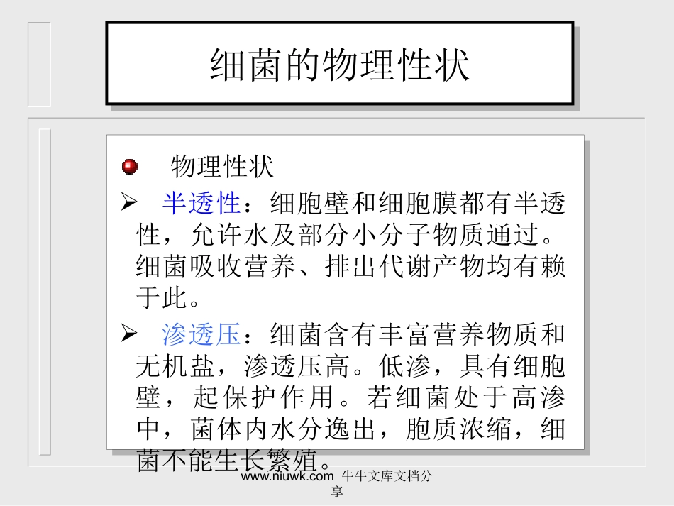 细菌的生理.pptx_第1页