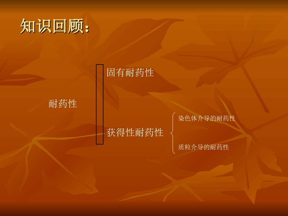 细菌的耐药性机制.ppt_第3页