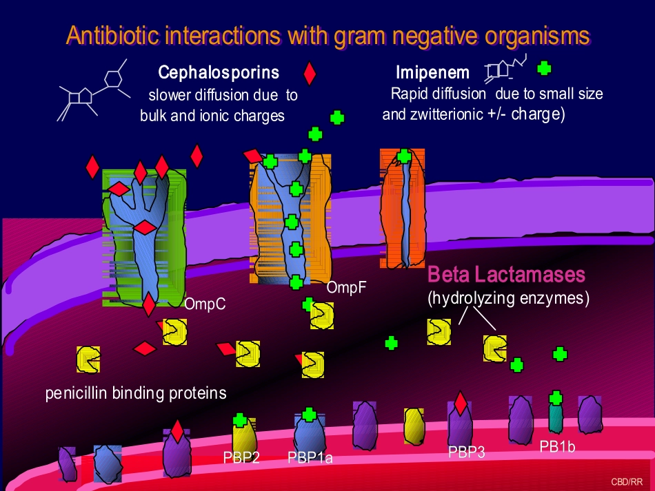 细菌耐药机制(huishi).ppt_第2页