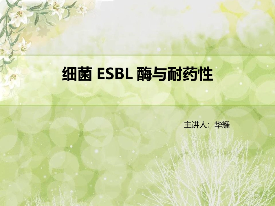 细菌超广谱β-内酰胺酶与耐药性.ppt_第1页