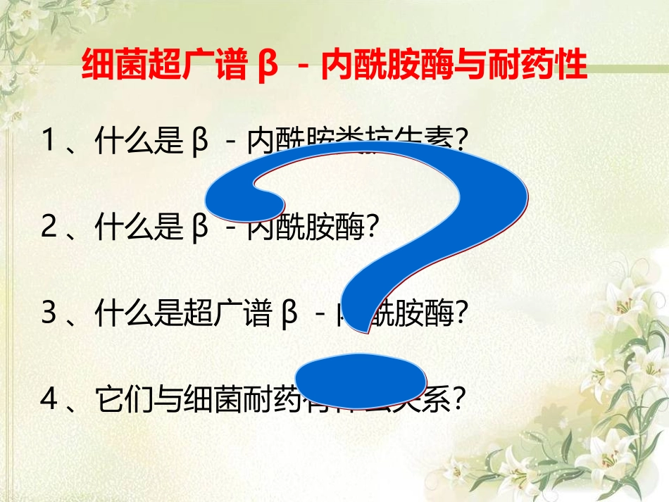 细菌超广谱β-内酰胺酶与耐药性.ppt_第2页