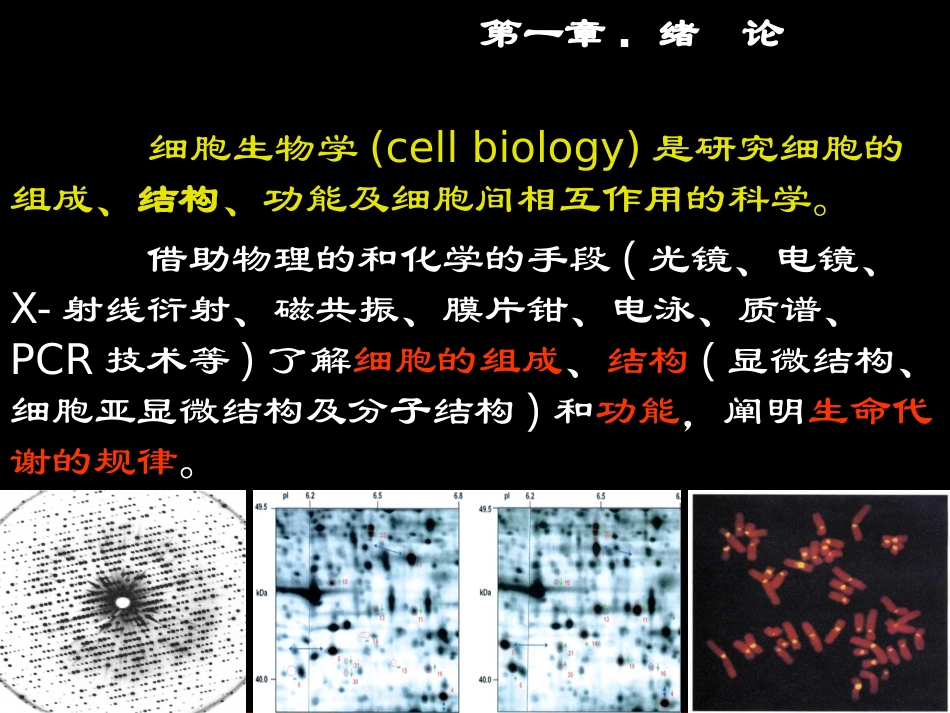 绪论细胞.ppt_第2页