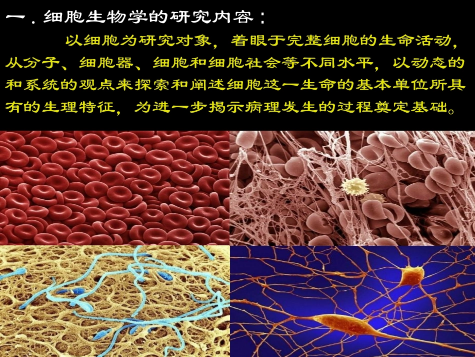 绪论细胞.ppt_第3页