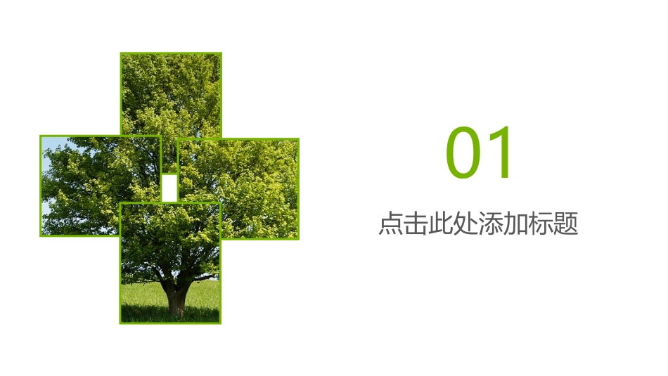 绿色环保调研报告ppt模板.ppt_第3页