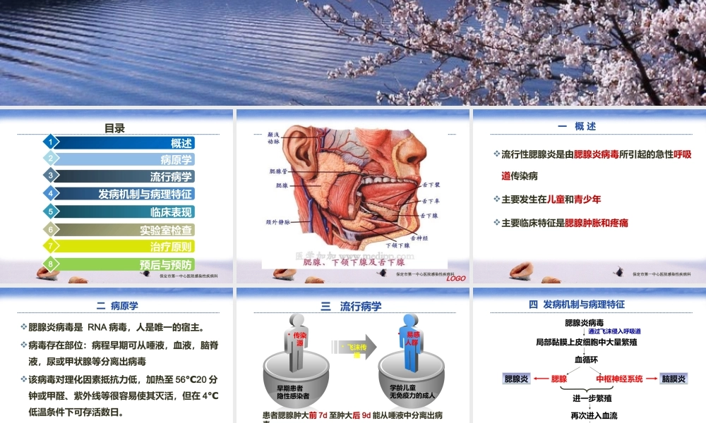 流行性腮腺炎PPt.pptx