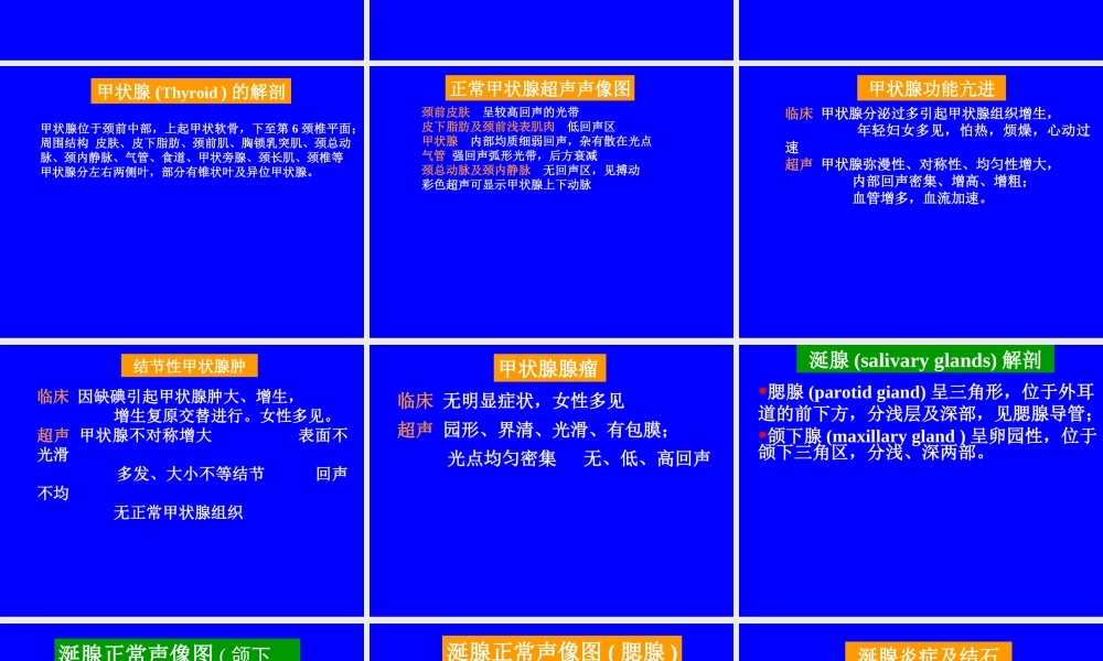 浅表器官包括乳腺甲状腺涎腺眼睛睾丸浅表软组织.ppt