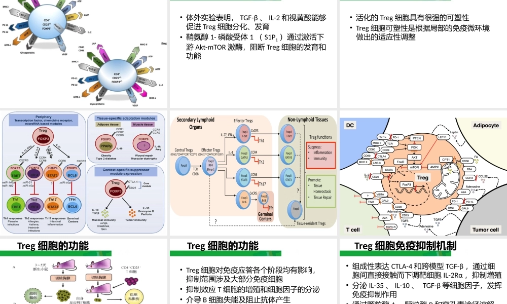浅谈Treg细胞20180104.pptx