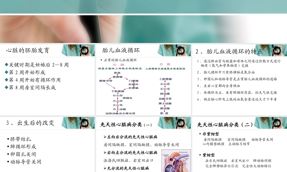 浅谈先天性心脏病.ppt