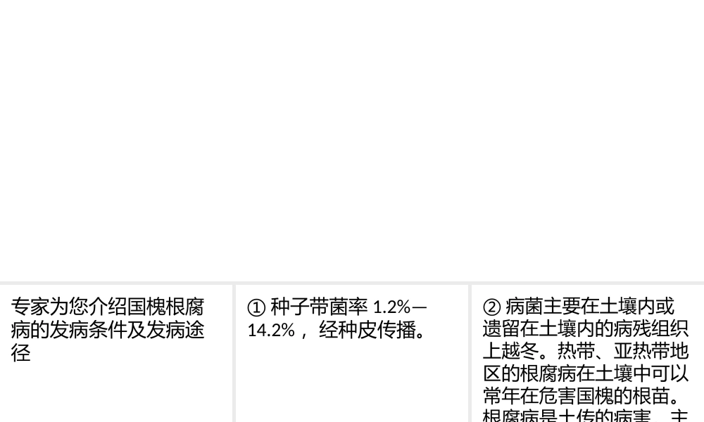 浅谈国槐的根腐病.pptx