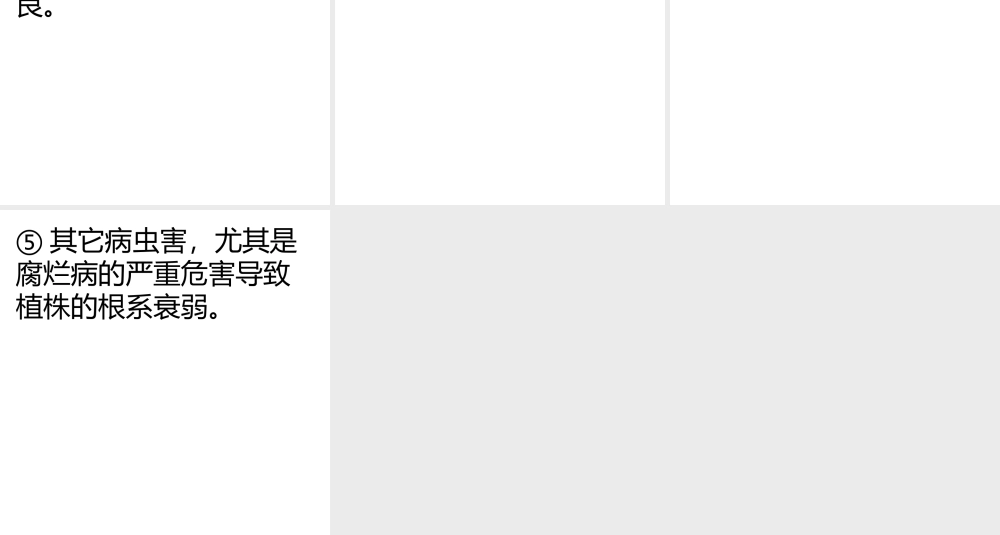 浅谈国槐的根腐病.pptx