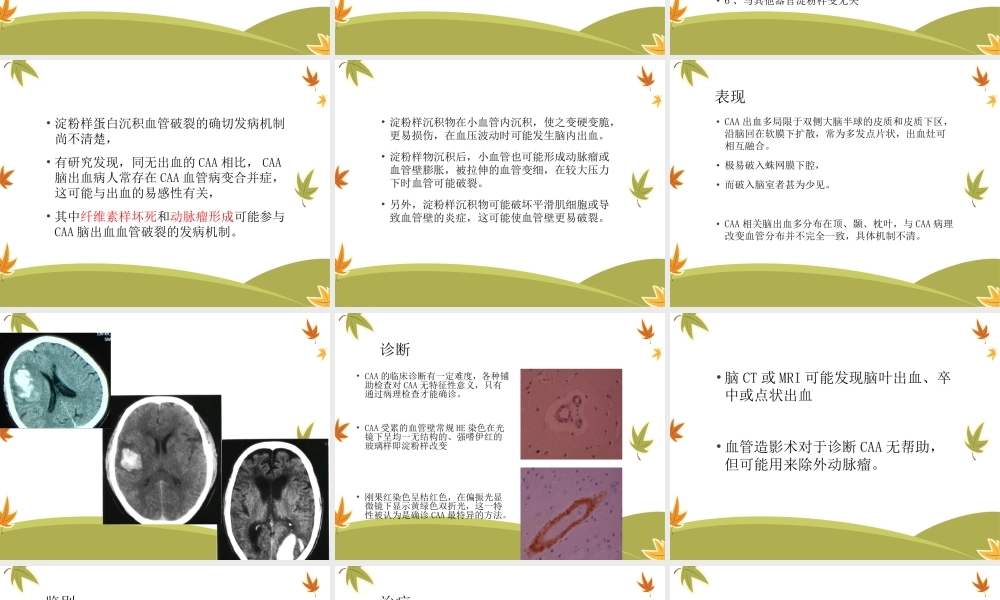 淀粉样脑血管病脑.ppt