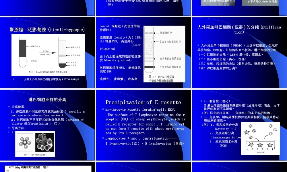 淋巴细胞标志检测.ppt