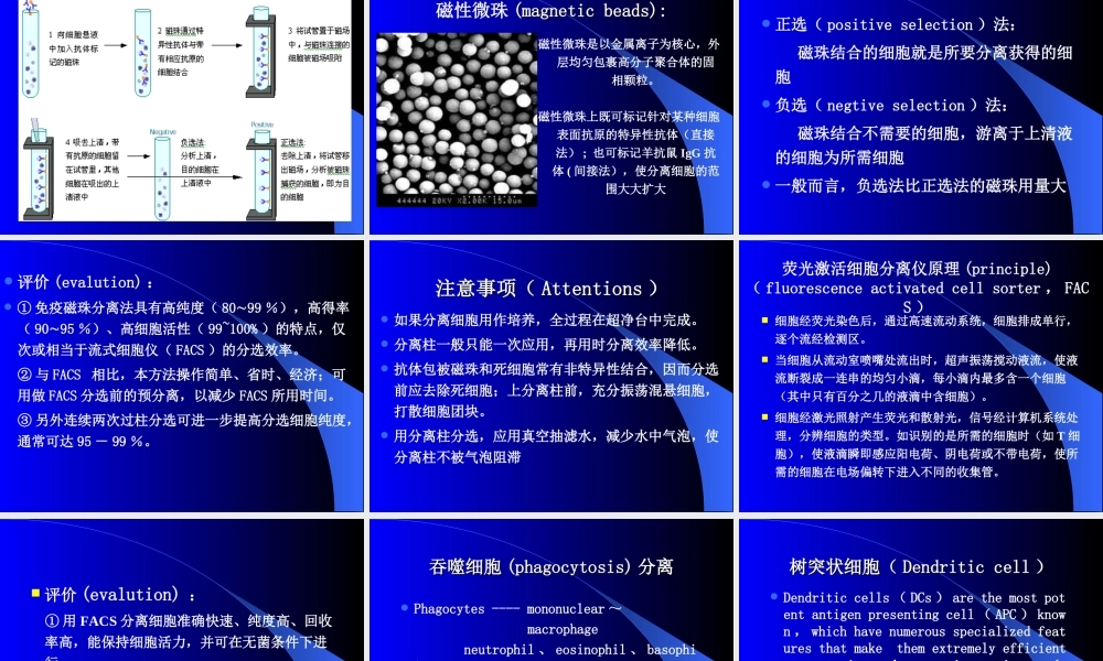 淋巴细胞标志检测.ppt