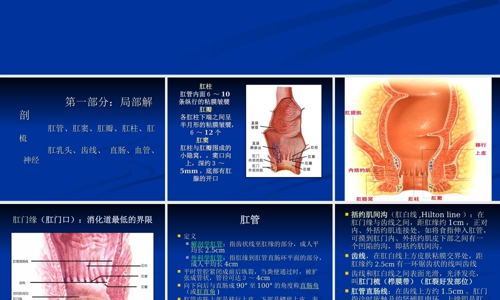 混合痔PPH与TST术试的比较.ppt