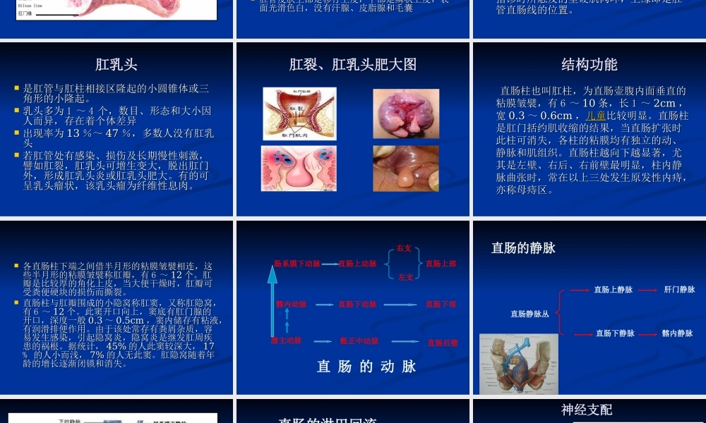 混合痔PPH与TST术试的比较.ppt