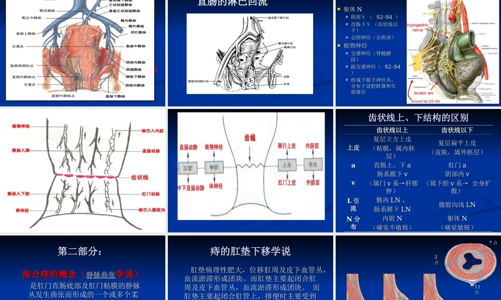 混合痔PPH与TST术试的比较.ppt