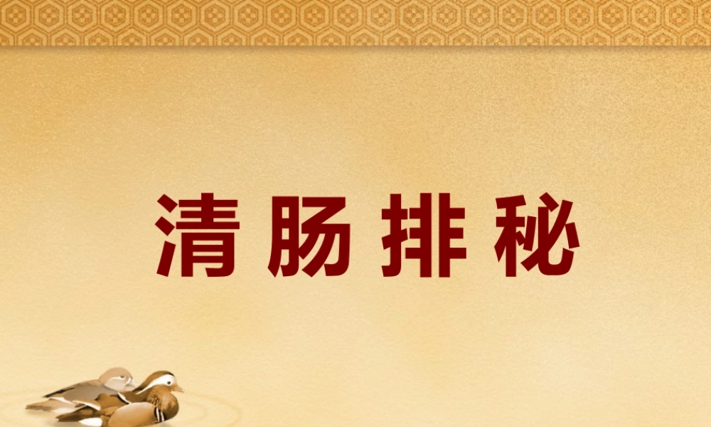 清-肠-排秘-新(副本).ppt