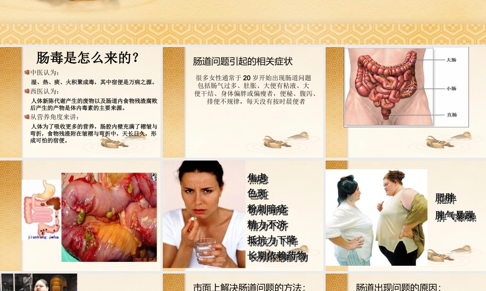 清-肠-排秘-新(副本).ppt