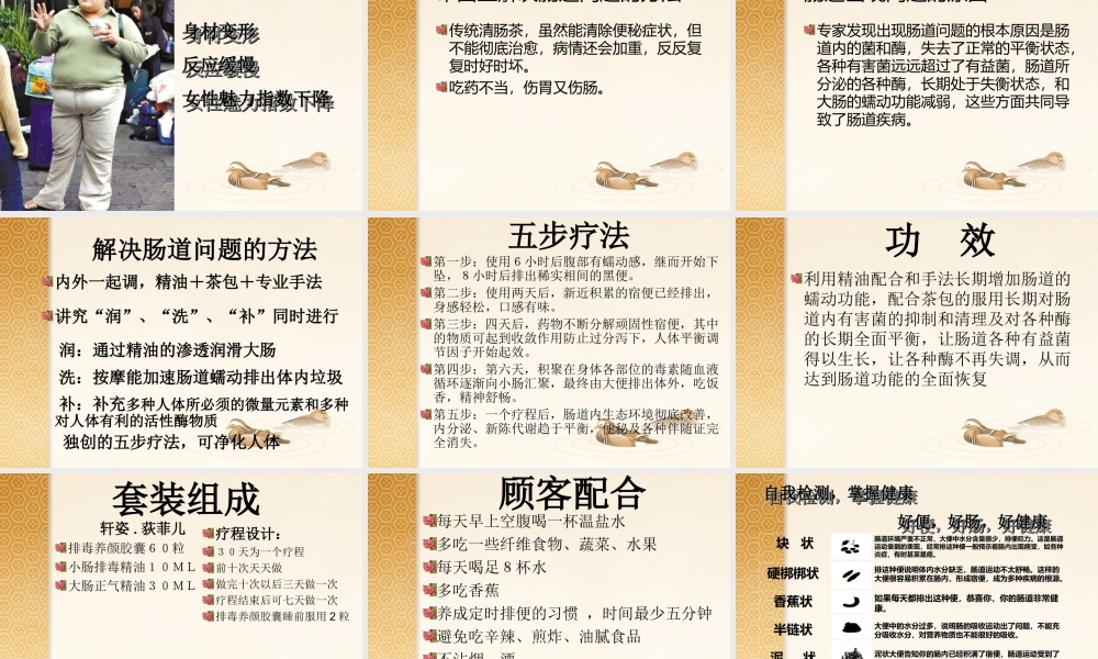 清-肠-排秘-新(副本).ppt