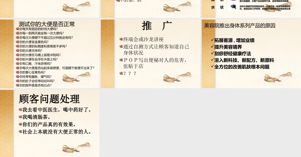 清-肠-排秘-新(副本).ppt