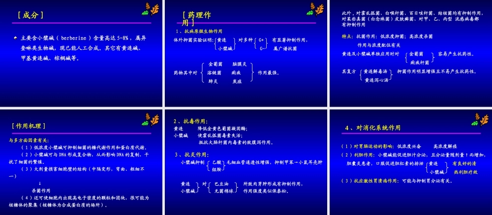 清热药黄芩、黄连2.ppt