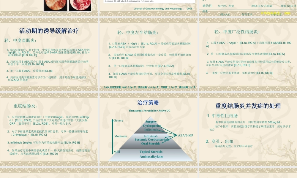 溃疡性结肠炎诊治指南.ppt