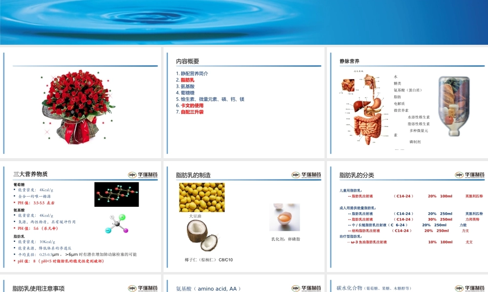 滨州市人民医院静配中心-2.ppt