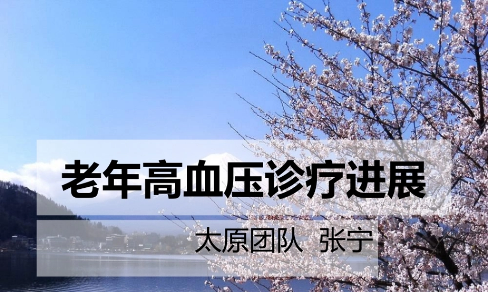 演示文稿老年高血压.ppt