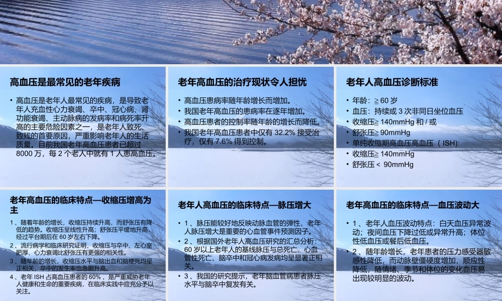 演示文稿老年高血压.ppt