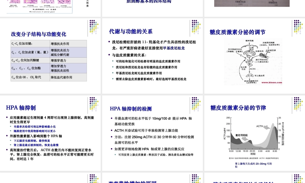 激素与皮肤病.ppt